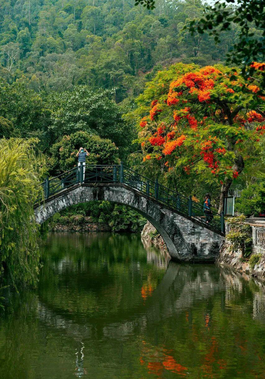 香港中山定居真实感受,香港明星定居内地对环境的看法