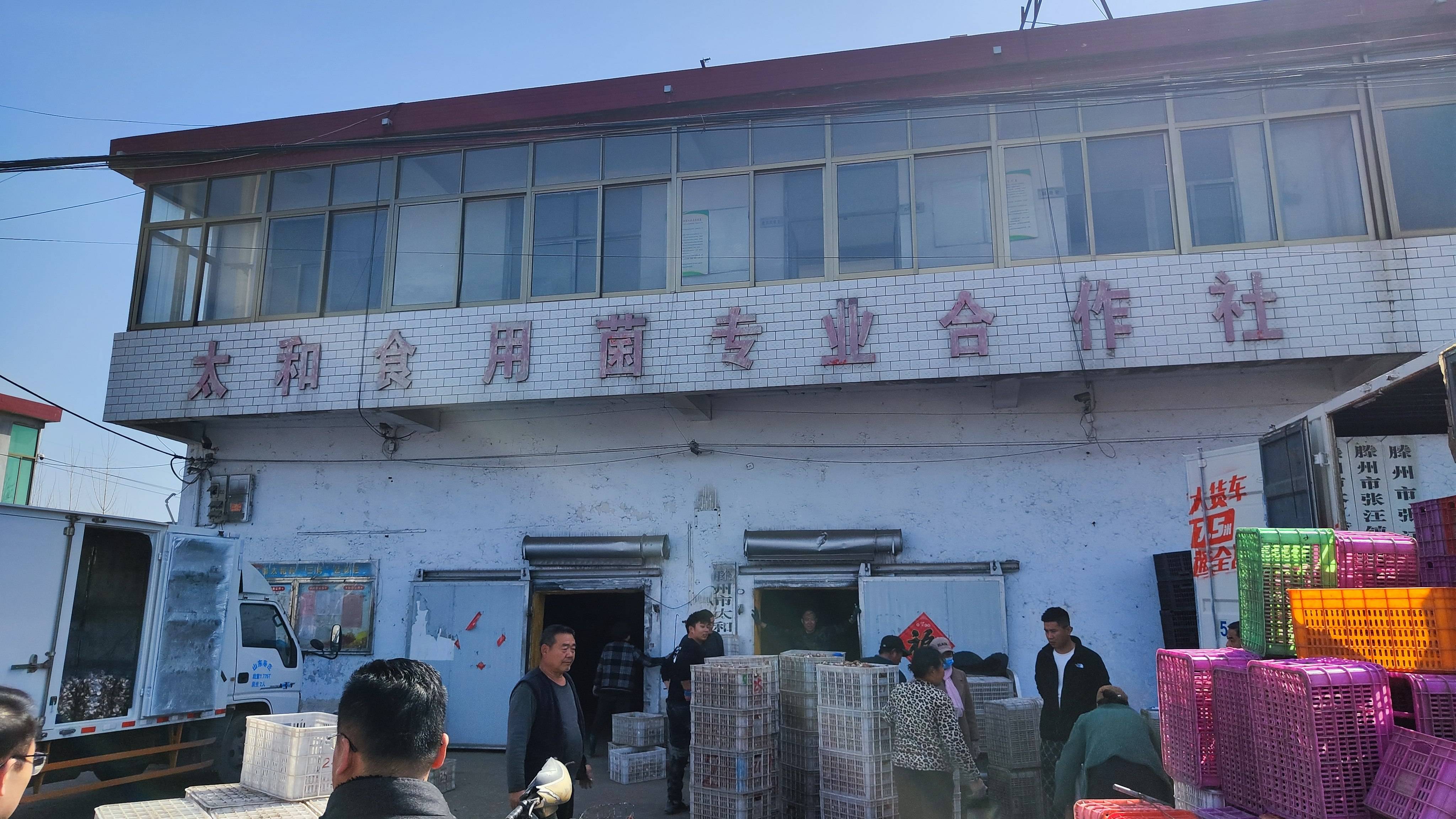 张汪镇乡村振兴,县城电商直播带货乡村振兴