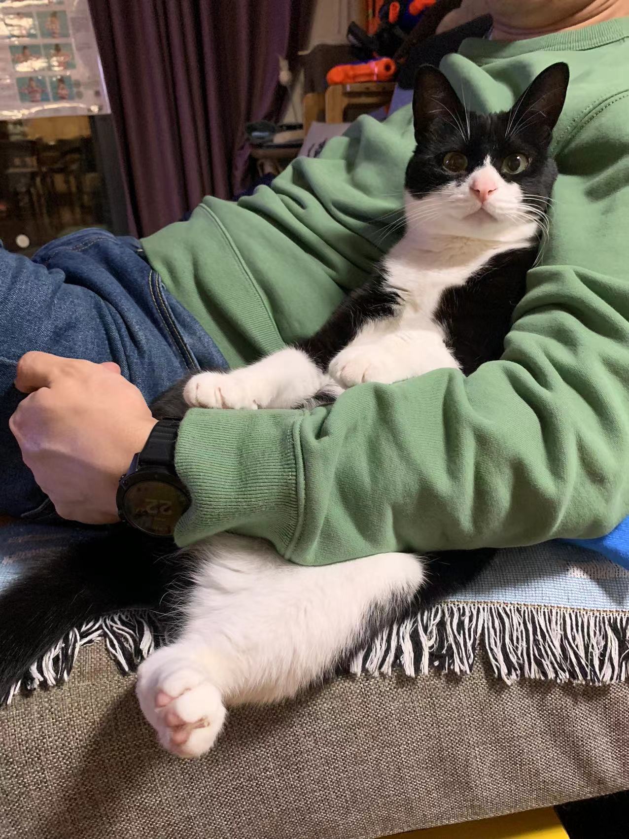 amazfitgtr2e智能手表华米测评,华米gtr3pro和gtr3区别