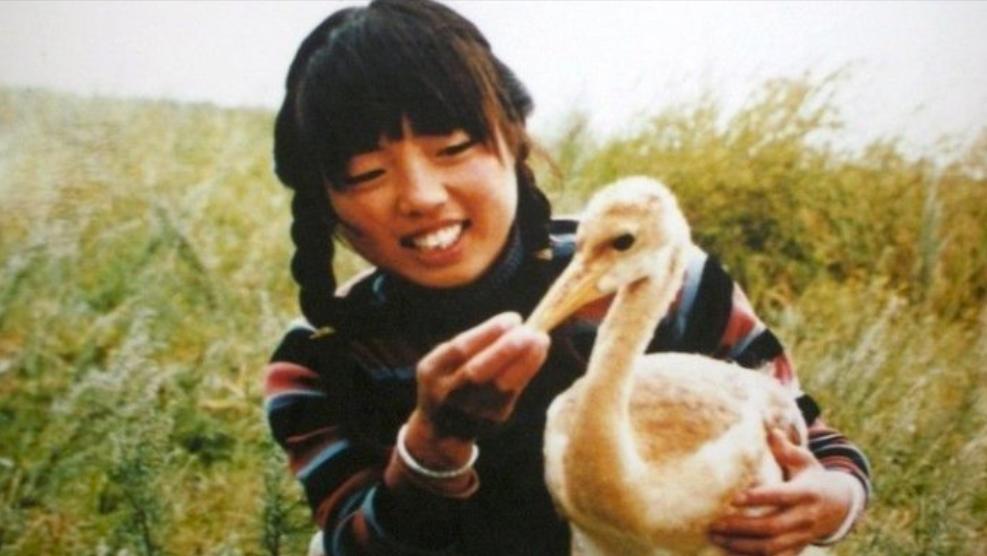 盐城千亿级县区,盐城一座打开心扉的城市图片