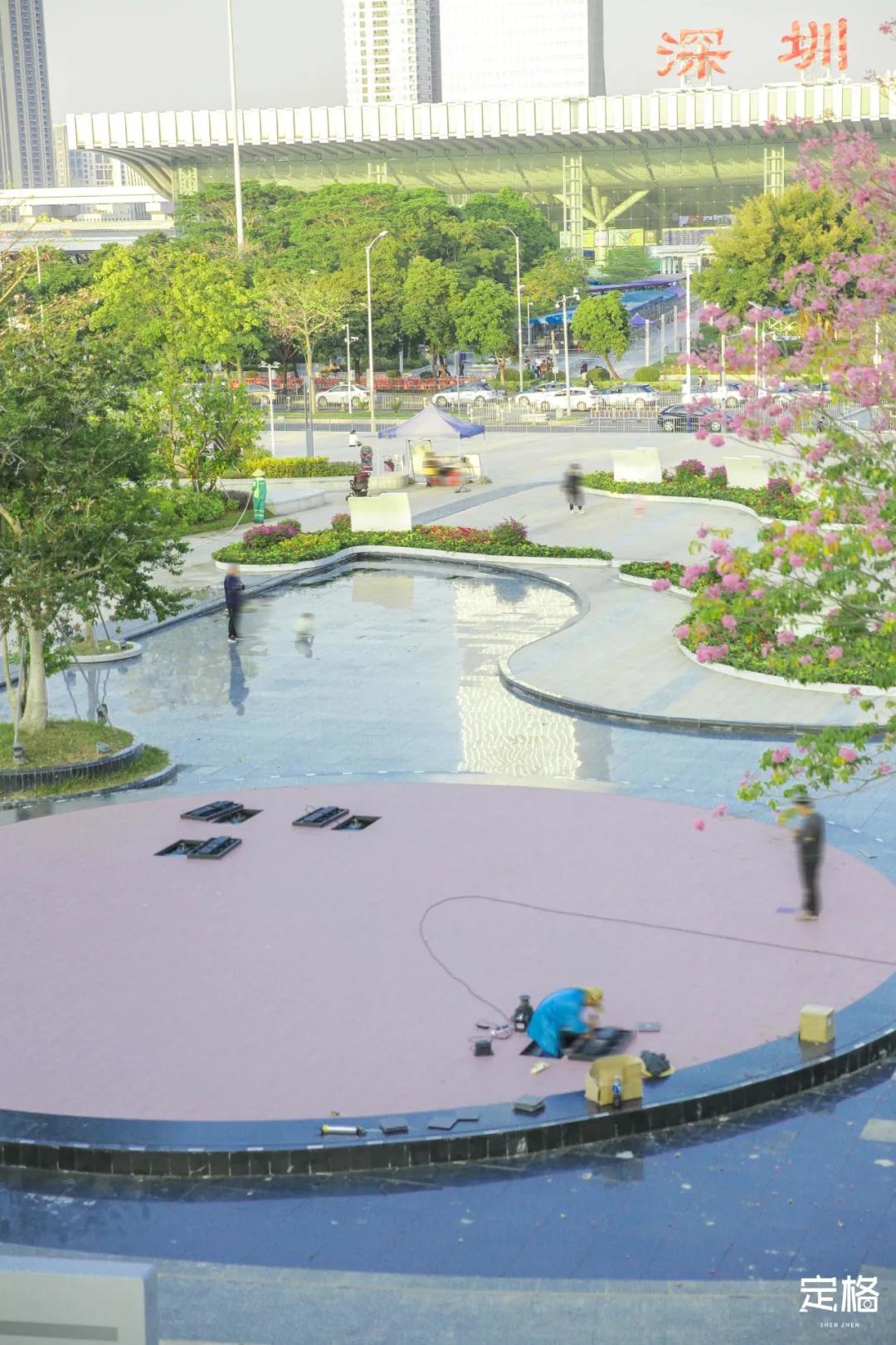 雨林打卡网红地滑梯,深圳莲花山滑梯