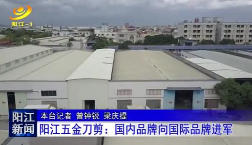 广东阳江幸福宜居之城,泸州最宜居的地方