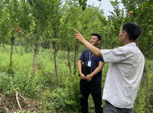 易鑫金融分期购车,易鑫金融购车有免息政策吗