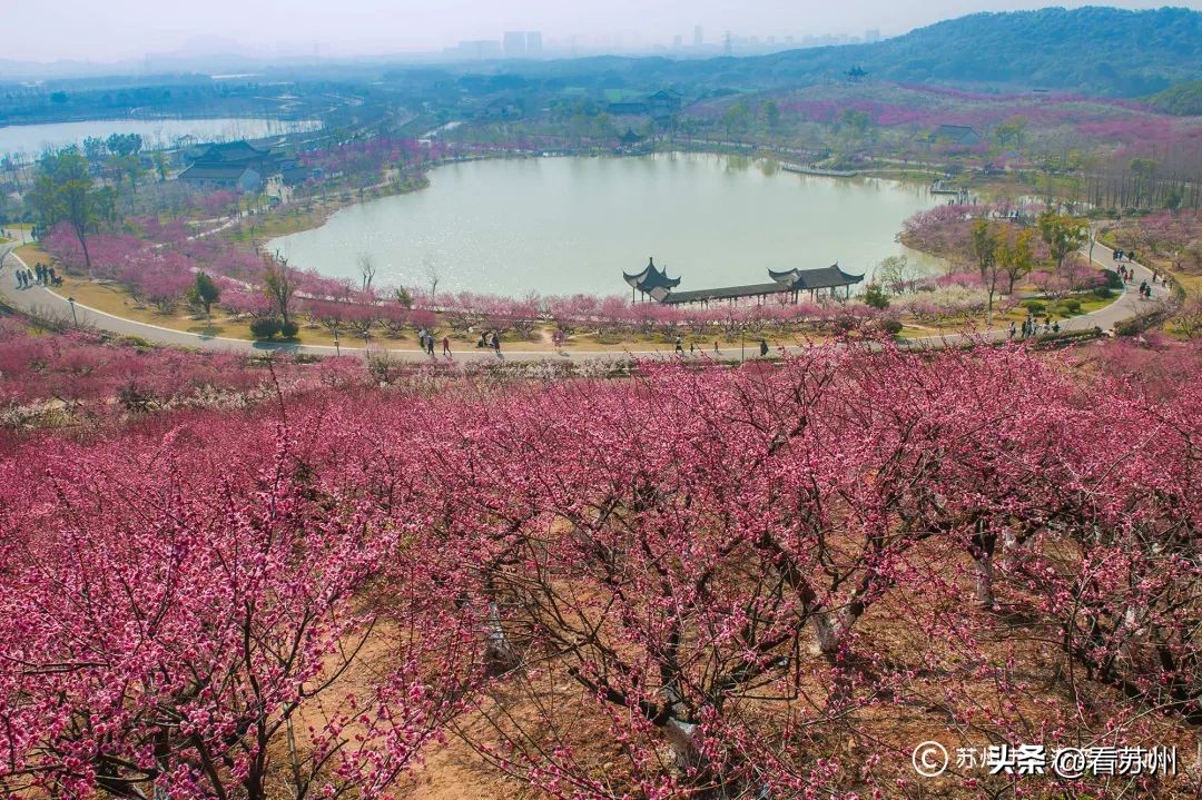 免费游园+惊喜好礼，苏州的“妇女节”活动有亿点点小心意～