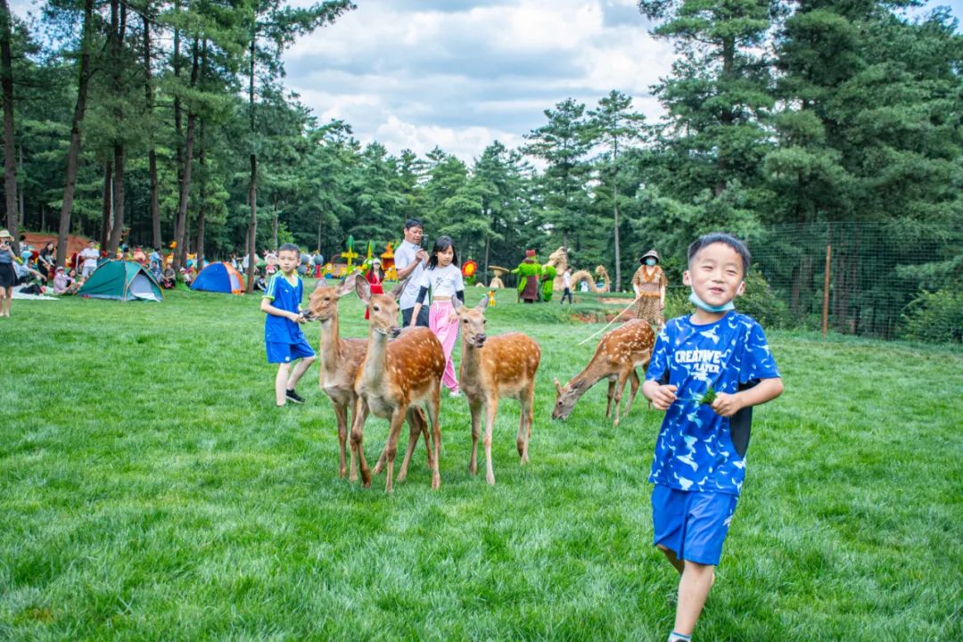 昆明周边旅游的好去处,常见的昆明周边度假攻略