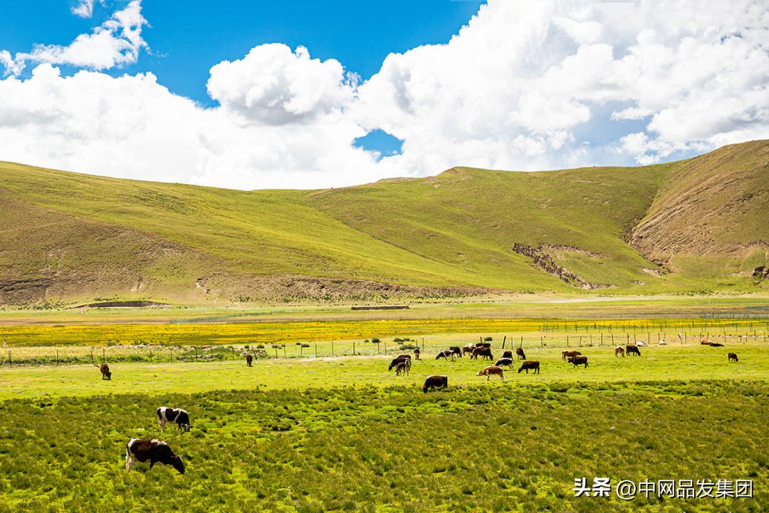 景点短视频营销技巧,带货技巧短视频营销