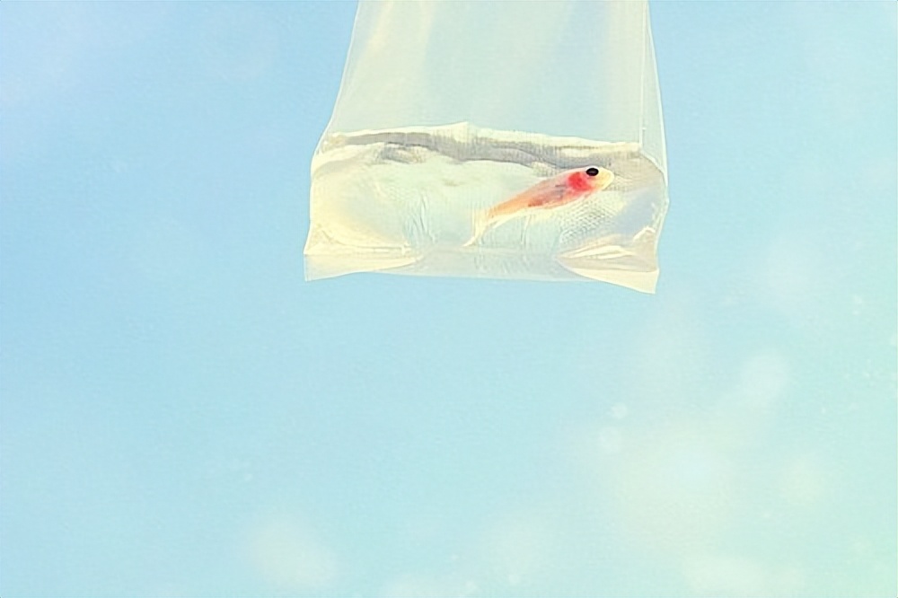 中年异性关系有哪几种,40岁异性之间需要什么条件