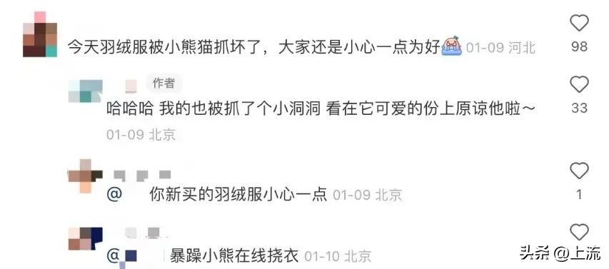 男孩景区遭鹈鹕灌顶,男孩被醍醐灌顶在什么景区