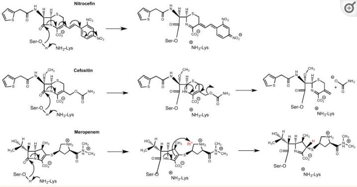探究砷（III）物质在体外抑制氧化蛋白折叠应用