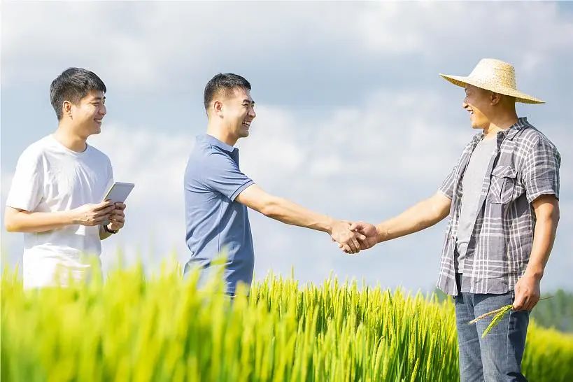 乡村振兴培训品牌标准,农创品牌成为乡村振兴新抓手