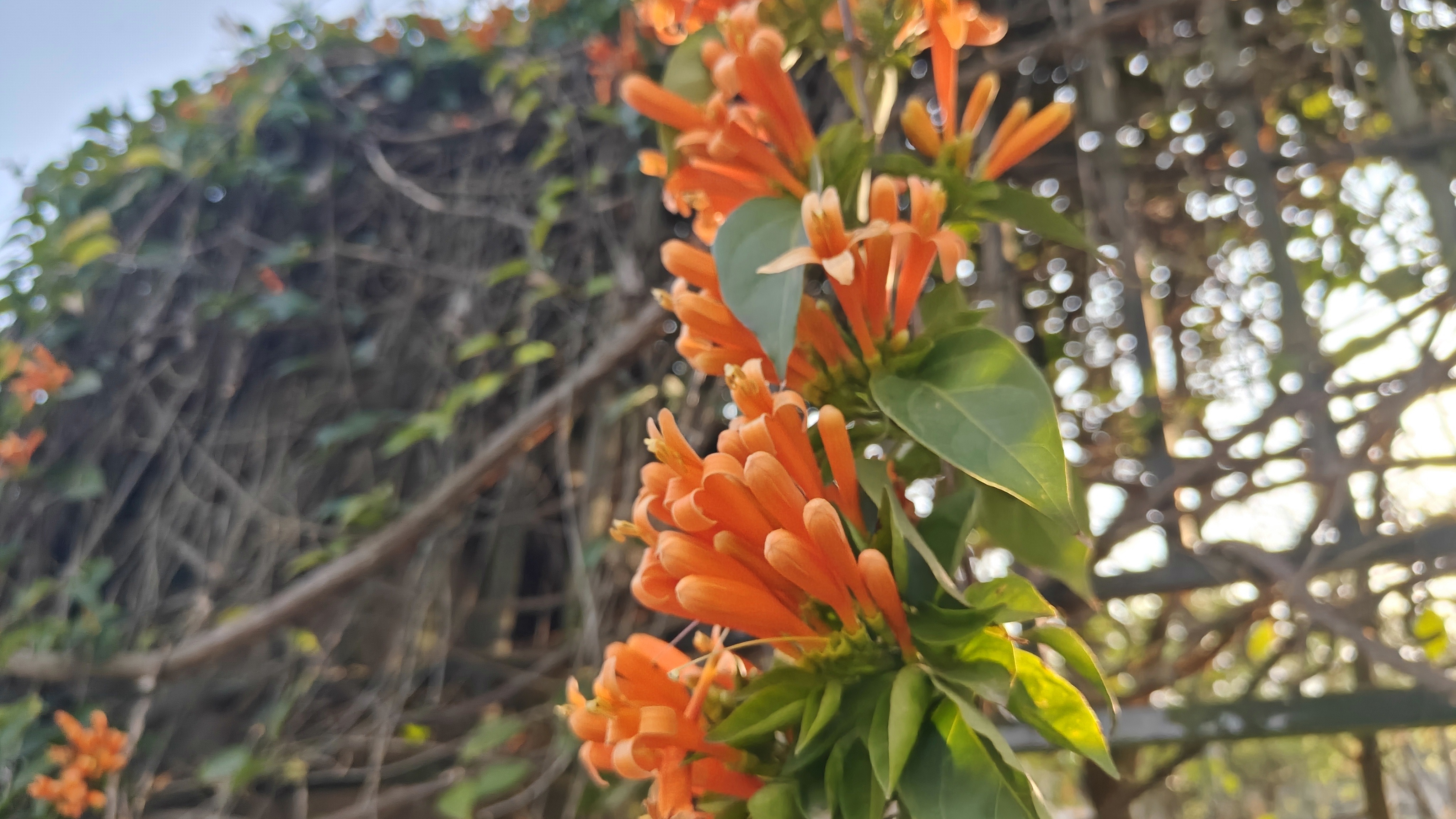 徒步三叠井森林公园，拥抱采兰溪，走进大自然