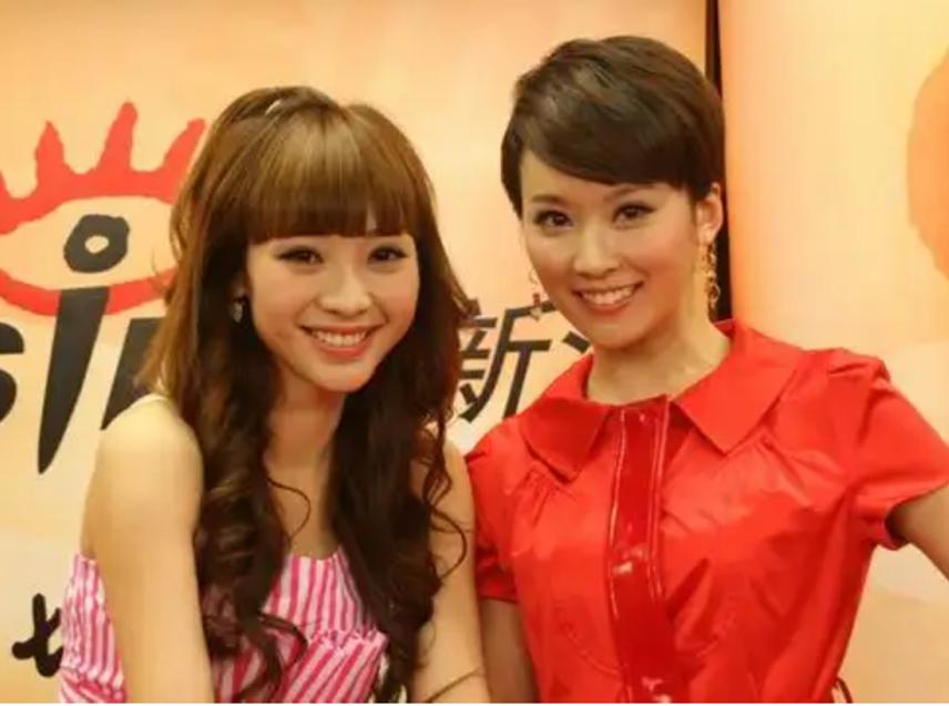 柳岩被封杀事件,柳岩被封杀的背后