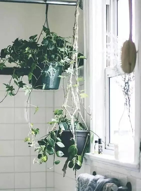 你理想的厨房是什么模样,你理想的厨房是怎样的呢