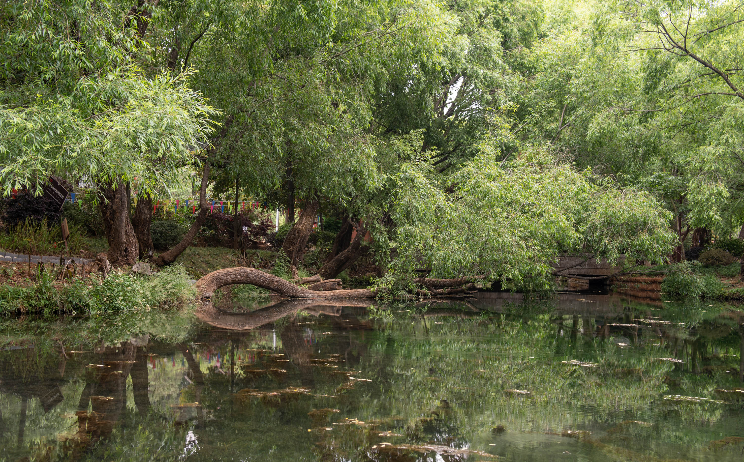 去云南跟团一日游攻略图片大全集,云南跟团六日游攻略大全图片