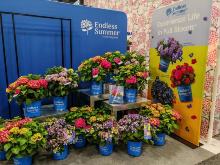 美国最大的农业产品展会,美国最顶级盆景展