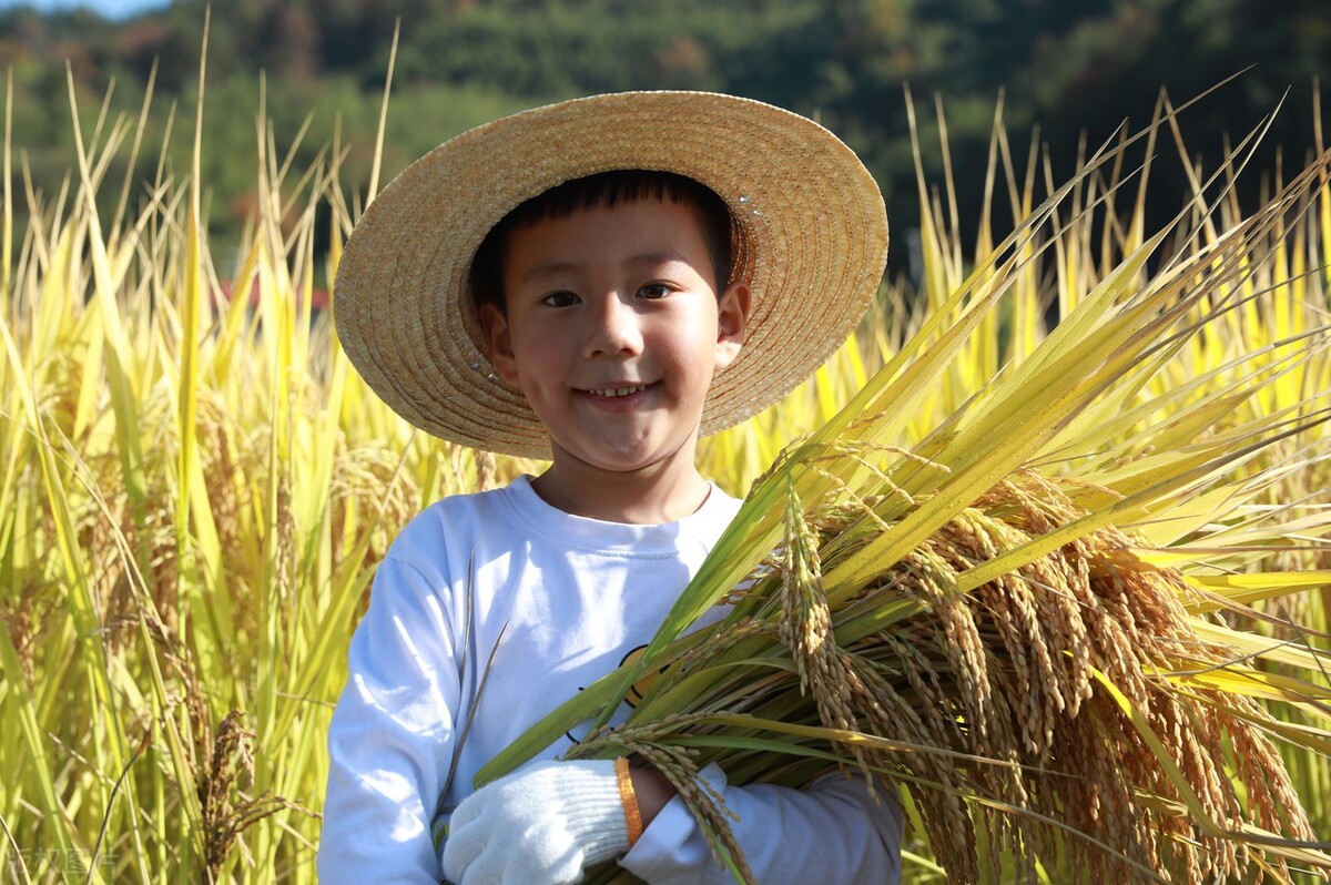 做厨师最好最开始要学会什么,厨师要想有前途需要做什么