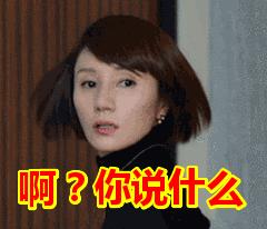 车模该有的样子,车模能有多好看