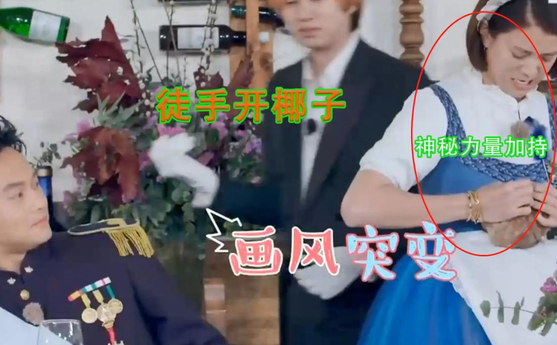 港姐袁咏仪视频全集,最美港姐袁咏仪