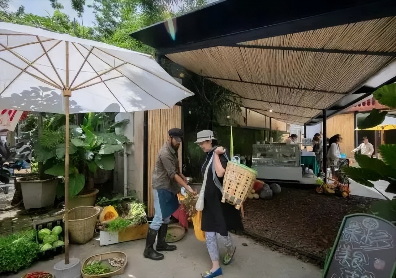 乡村改造方法盘点,100个乡村改造名单