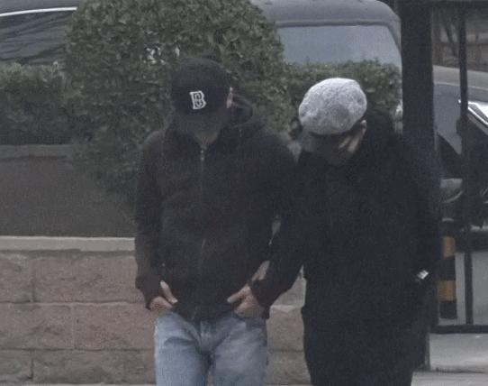 王菲和谢霆锋为什么会在一起,谢霆锋和王菲寻寻觅觅兜兜转转