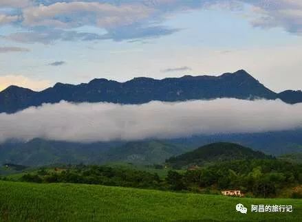 广西十万大山国家森林公园,广西十万大山国家森林公园图片