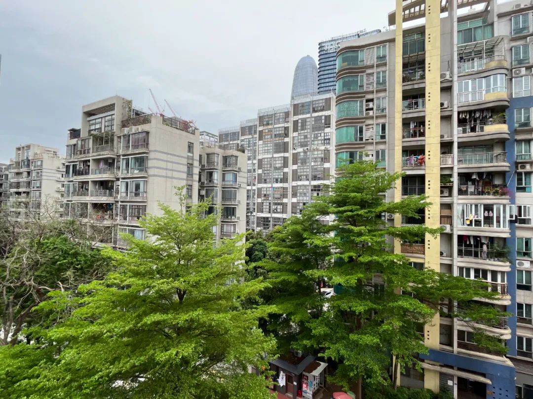 别哭！娶不到琶洲南TOD，去睡她“闺蜜”啊