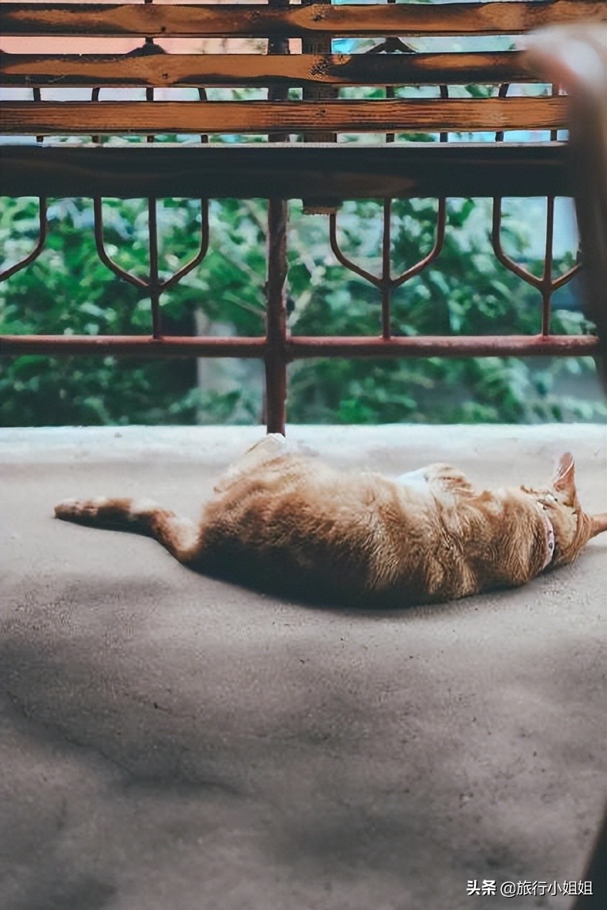 夏日海边浪漫迷人,滨城风光秀丽浪漫气息爆表