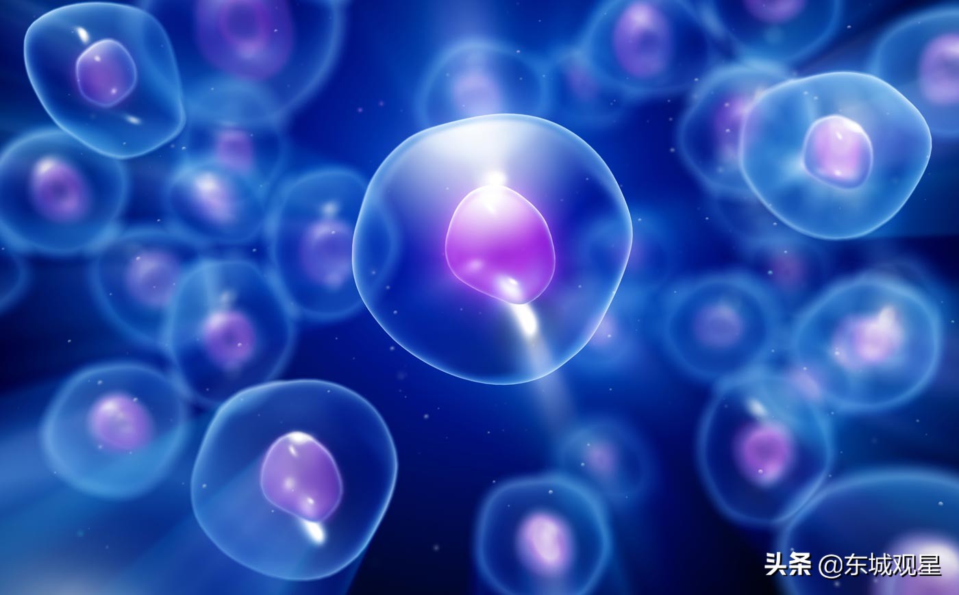 液氮冻鱼复活,液氮冻鱼复活什么原理