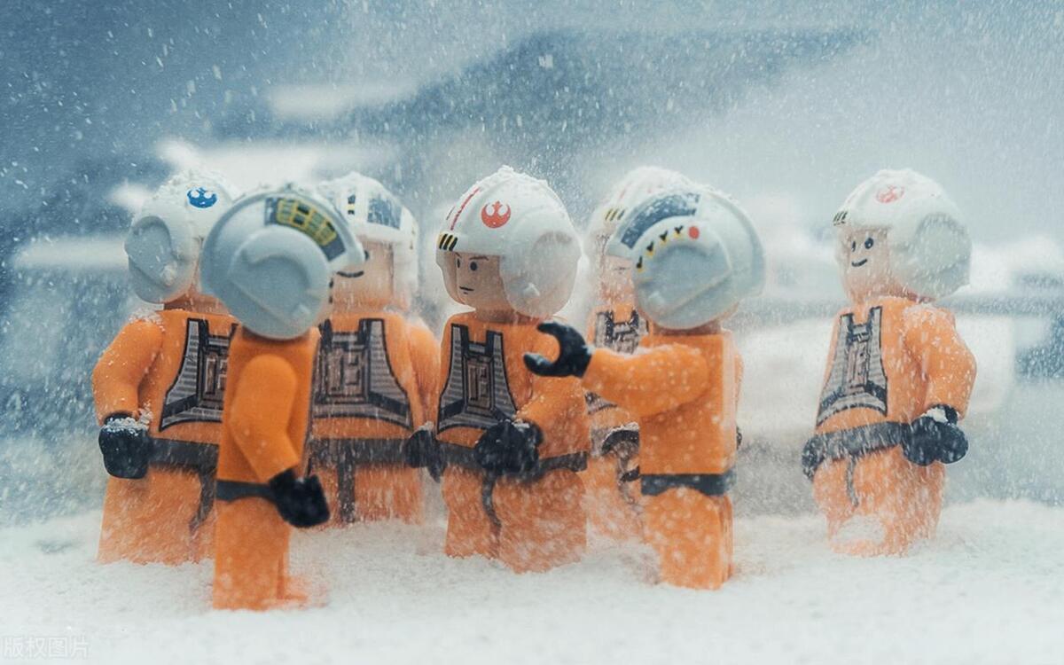 保险的认知与心得体会,保险观