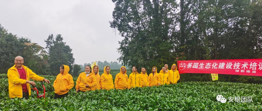 如何引导农民合作社发展,我国农民合作社发展的政策机遇