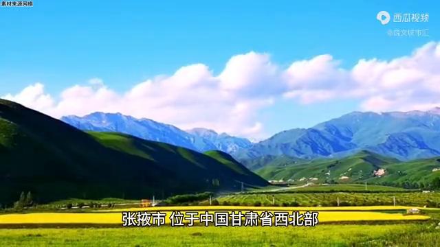 张掖养羊有发展前途吗,张掖发展2025