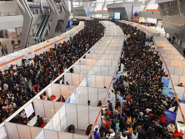 2024年大学毕业生面临的就业形势,今年在校毕业生就业形势分析2023