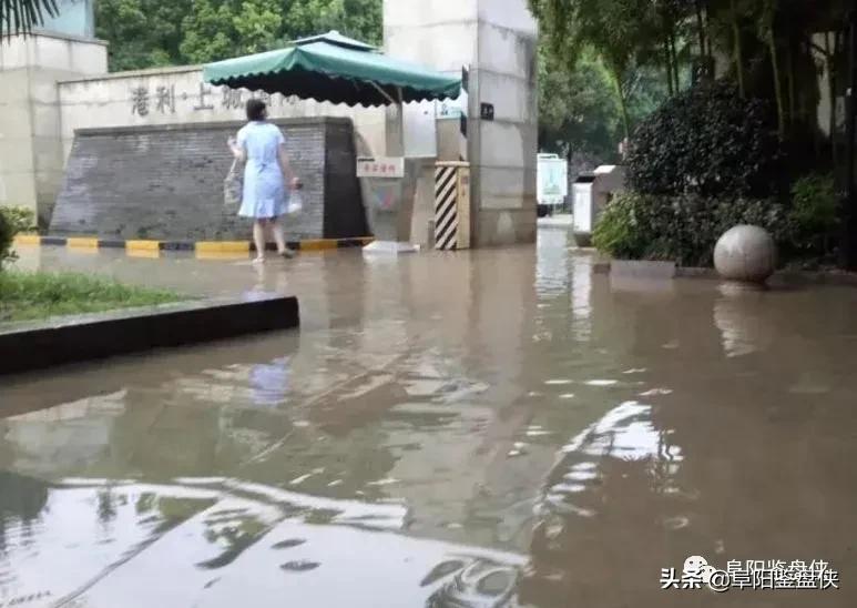 楼市下行！港利在阜为何豪掷三宗地？