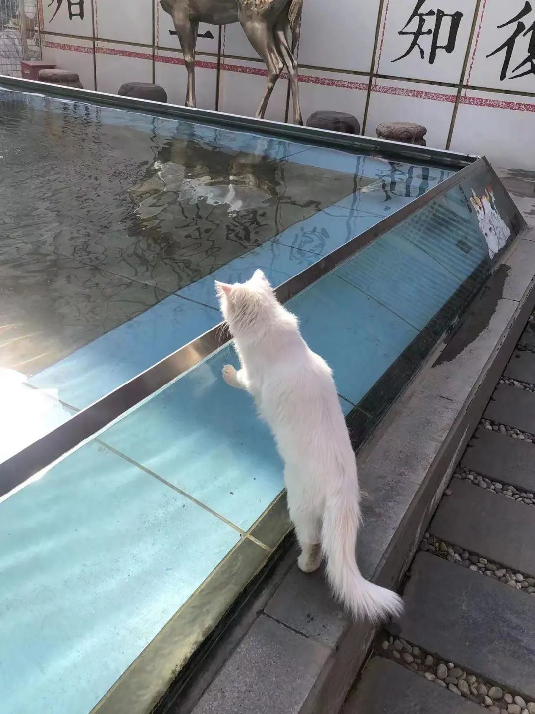 赵明明：上班摸鱼，是我的梦想!