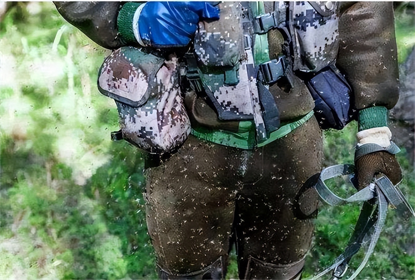 最危险边防区7条军犬,中国最惨烈的军犬