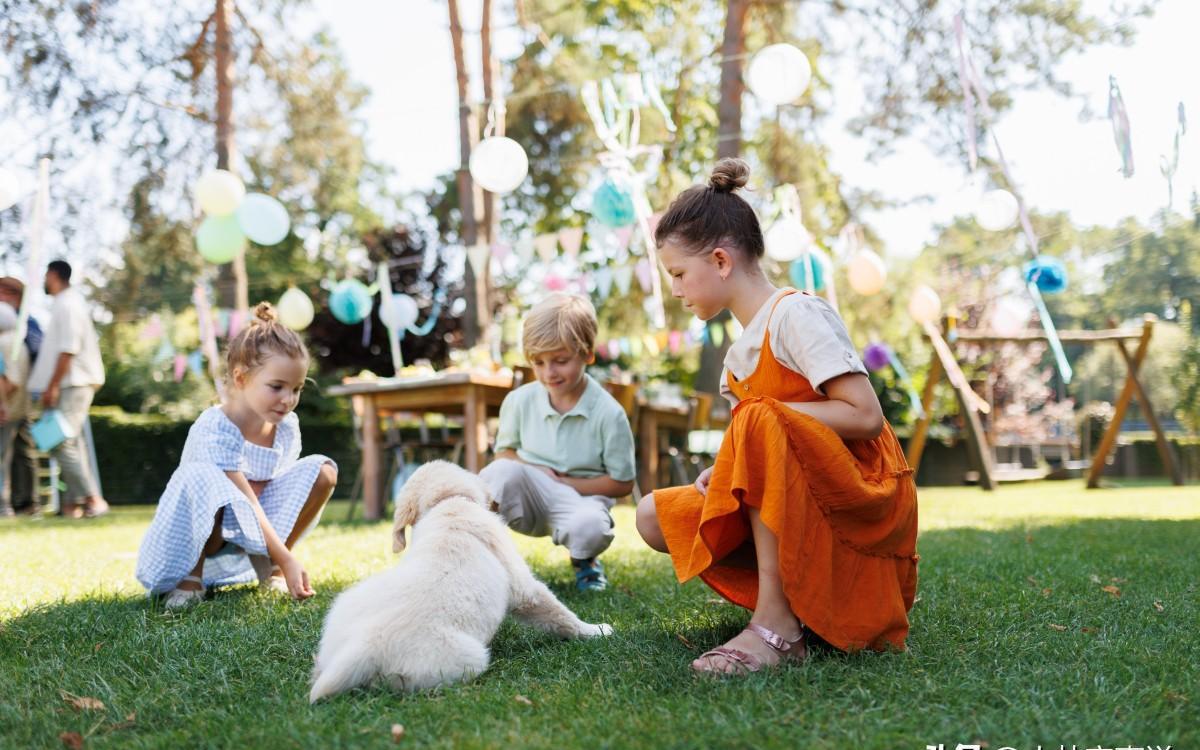 追寻犬神泰山麦兜，市中心探秘异域巴顿！