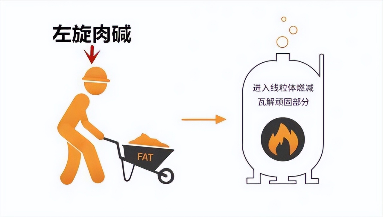 认识形形色色的*肥药减**