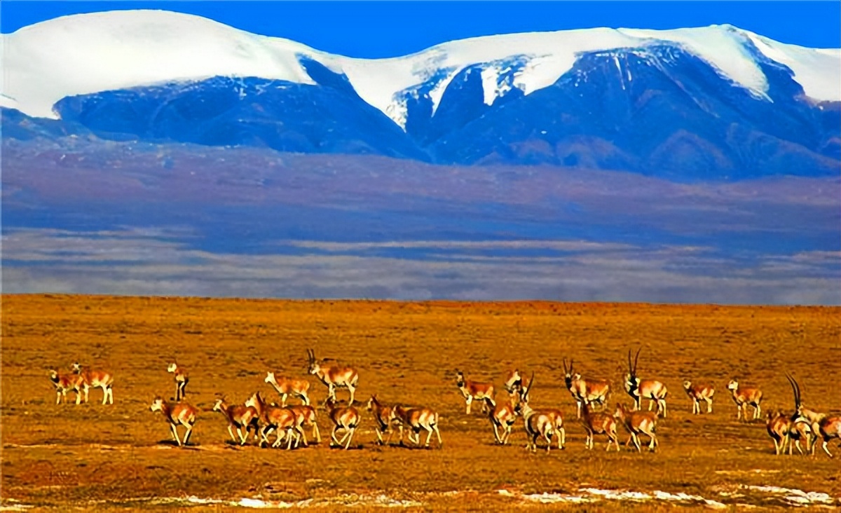去阿里旅游路线,4月份去阿里自驾游合适吗