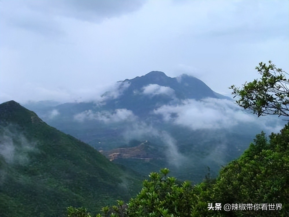 海岸线：邂逅*江阳**——感受这座慢节奏小城文化底蕴感悟人文之美