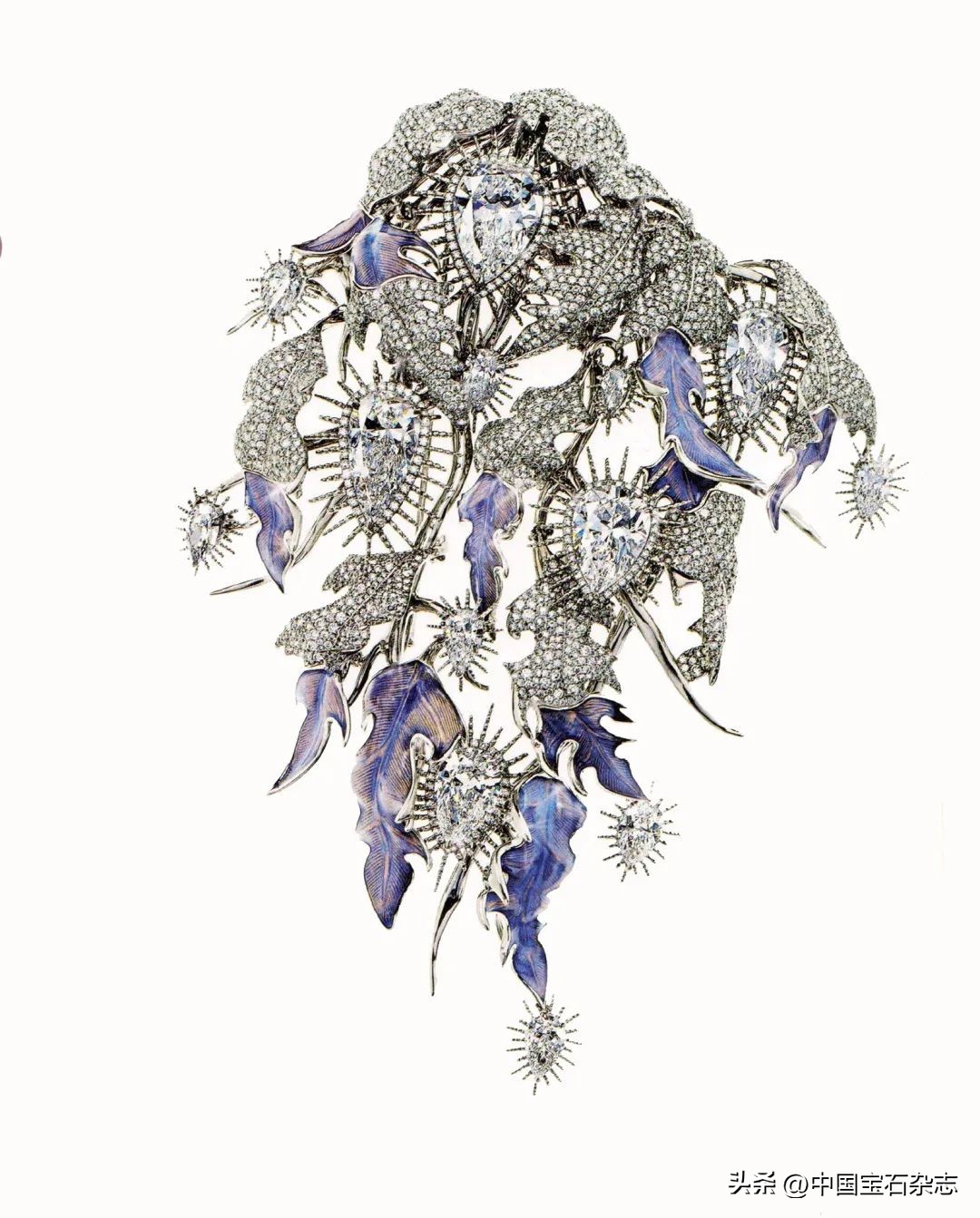 娆ф床鏃跺皻棣栭グ绯诲垪鍥捐В,娆х編鏃跺皻娼祦棣栭グ鍥剧墖