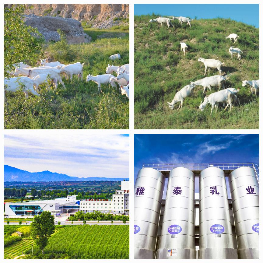 雅泰馨贝贝羊奶粉最新事件,雅泰馨贝贝新包装