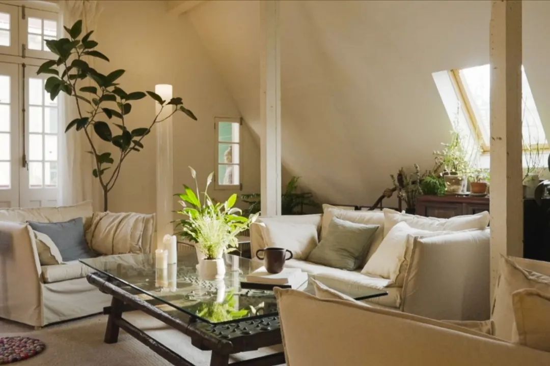 合租天花板上海,合租一个月5万的别墅