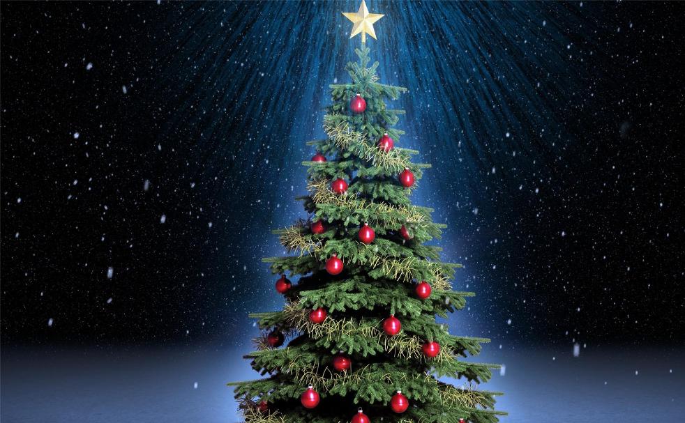 美国的摇钱树，收集到这种昂贵的树脂，就能轻松月入百万