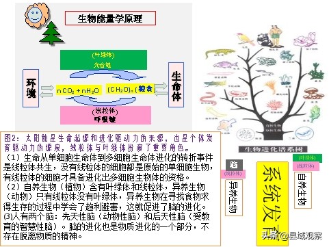 生命守护者人民的健康卫士,生命健康的守护者