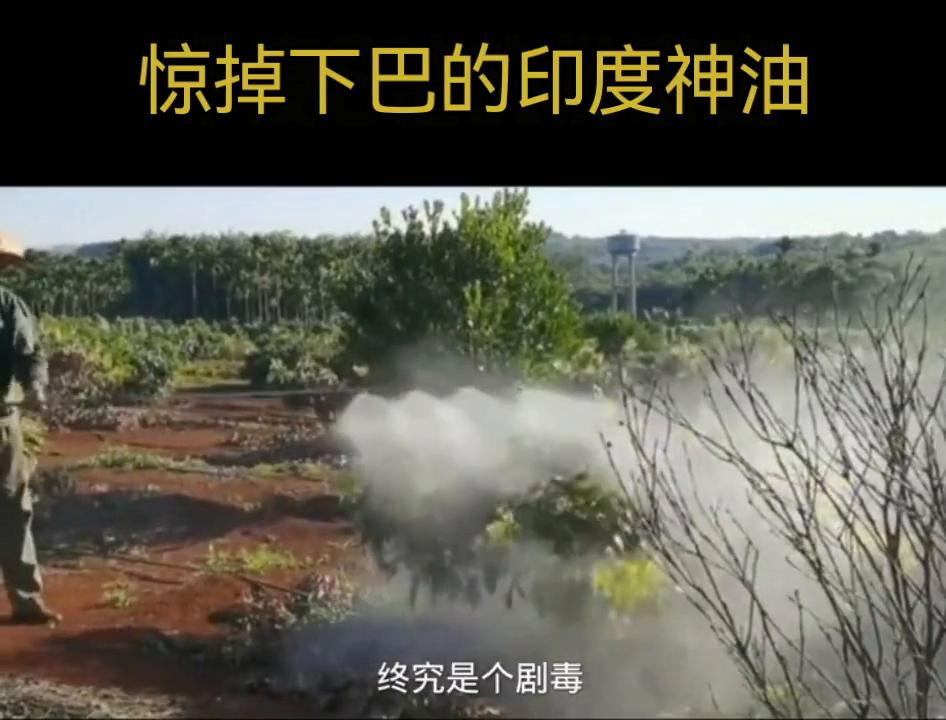 惊掉下巴的印度神油#印度神油#惊掉下巴