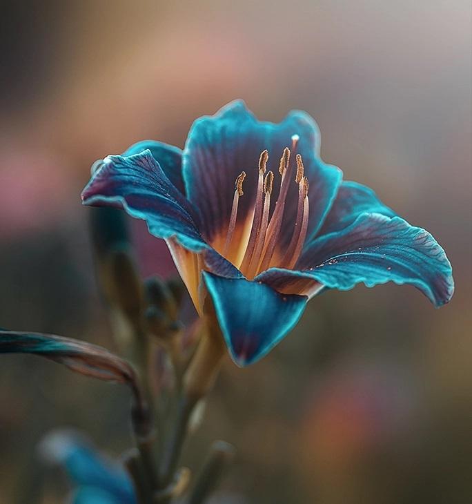 人心凉了很疲惫的伤感说说短句,心力憔悴的唯美句子