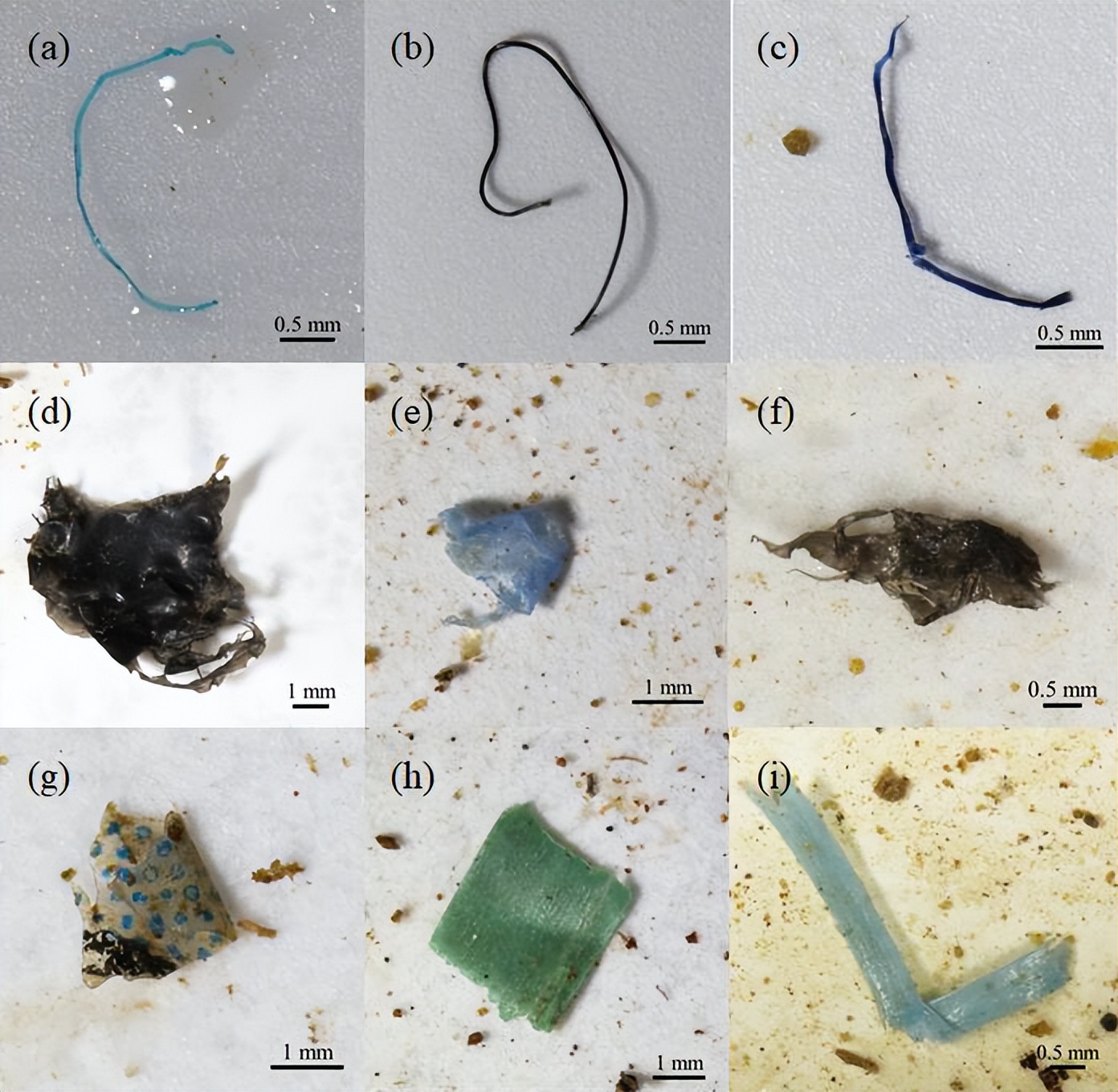 “暑”你精彩!假期师大要闻回顾