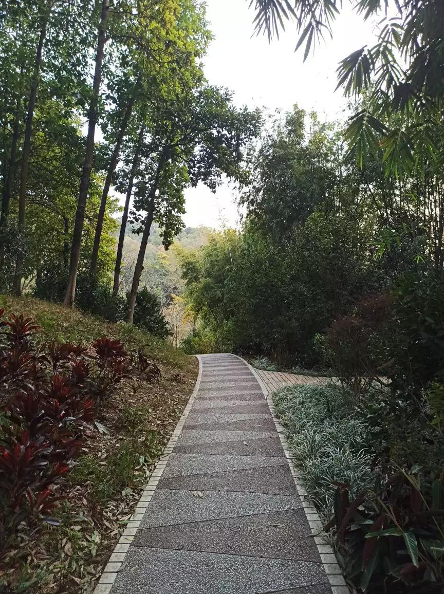 白云山适合徒步吗,一路徒步上白云山