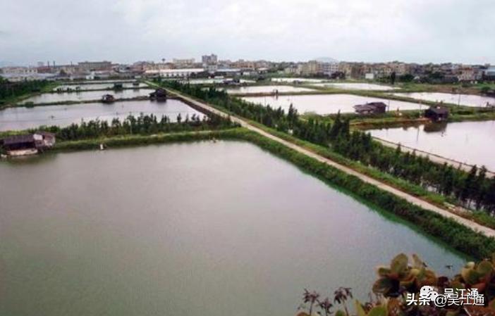 平望镇胜墩村在哪,石头寨传统古村落