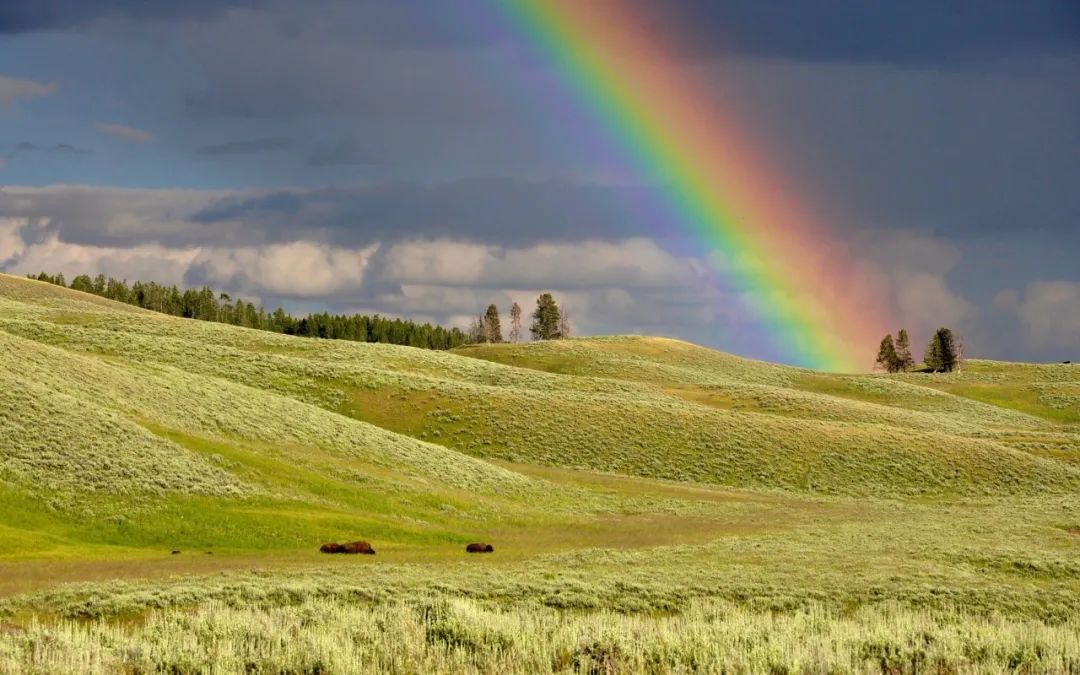 节气清明春意正浓,节气清明简介
